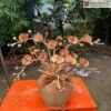 Bình Hoa Lan Hồ Điệp Đường Kính 30(cm)