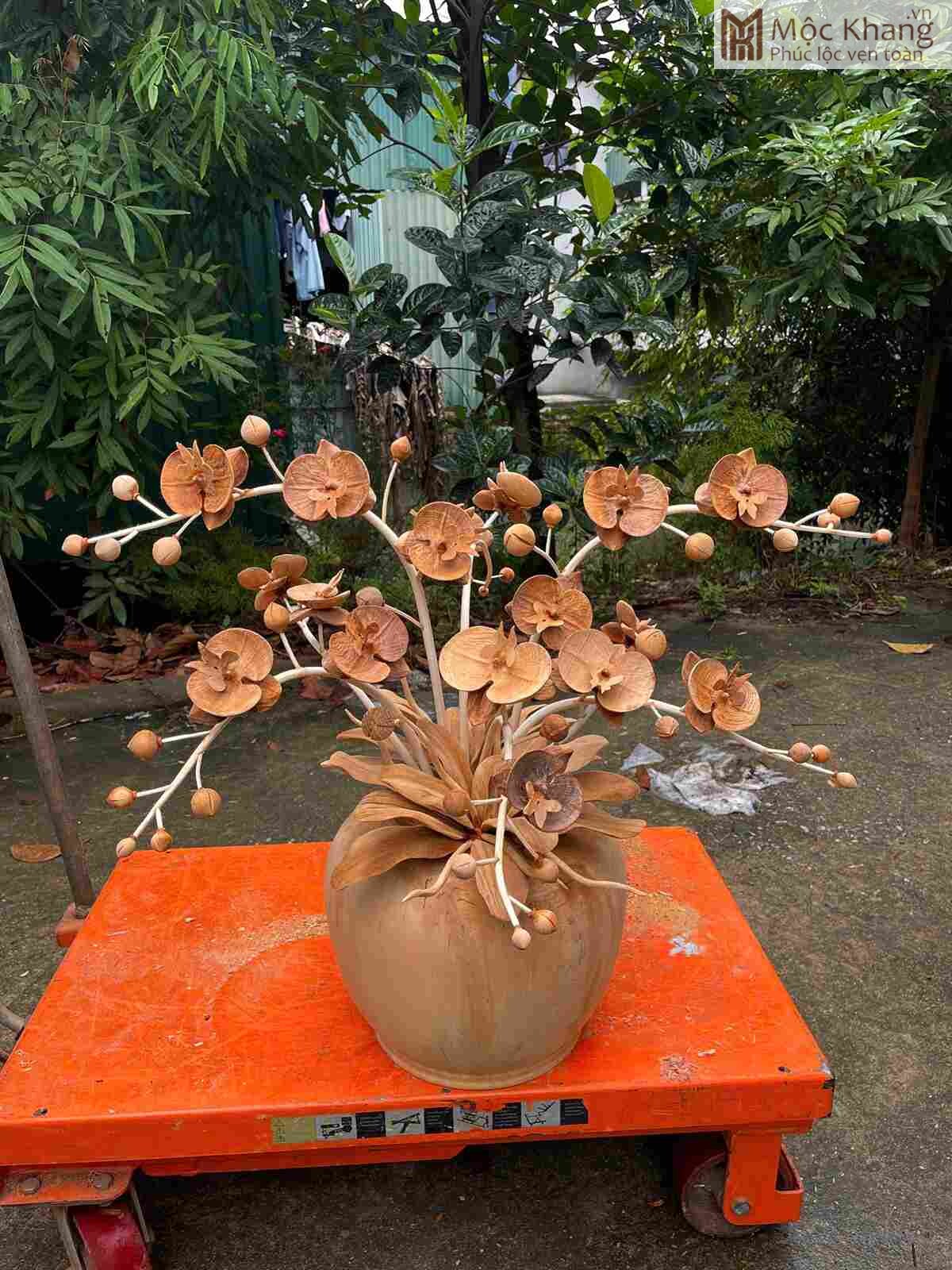 binh-hoa-lan-ho-diep-duong-kinh-30cm (2) Bình Hoa Lan Hồ Điệp Đường Kính 30(cm)