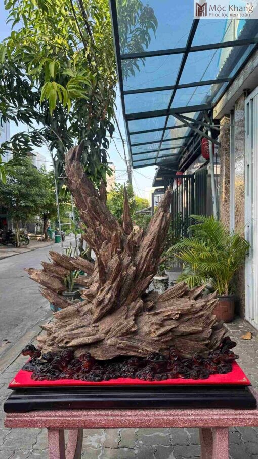 Cảnh Trầm Hương Tự Nhiên Cao 100(cm)