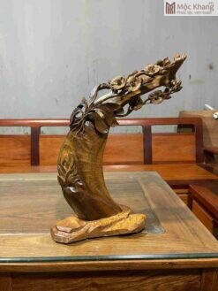 Cây Lan Gỗ Bách Xanh Mộc Châu Cao 45(cm)