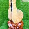 Gỗ Hóa Ngọc Tự Nhiên Cao 58(cm)