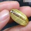 Lu Thống Thạch Anh Tóc Vàng Cao 24(mm)