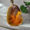 mat-day-bo-de-su-to-dat-ma-ngoc-cam-thach-cao-5-1cm
