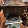 tuong-phat-thich-ca-go-trac-cao-60cm
