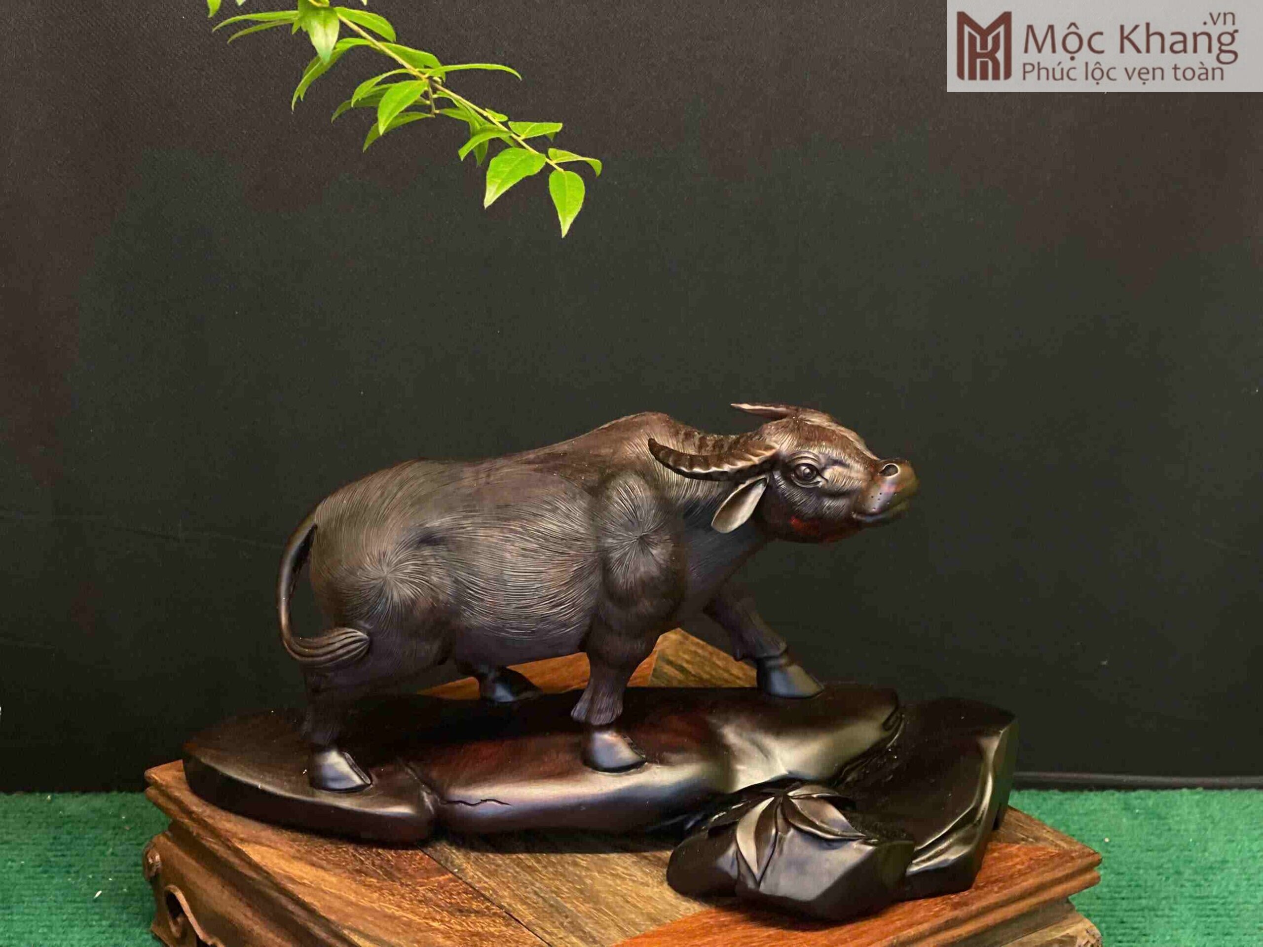 tuong-trau-go-trac-ngang-27cm (2) Tượng Trâu Gỗ Trắc Ngang 27(cm)