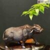 tuong-trau-go-trac-ngang-27cm