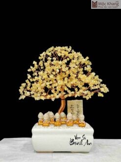 Cây Kim Tiền Thạch Anh Vàng Cao 38(cm)