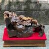 cau-nho-soc-go-bach-xanh-ngang-52cm