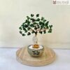 cay-kim-tien-thach-anh-cao-15cm