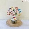 cay-kim-tien-thach-anh-cao-15cm