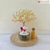 cay-kim-tien-thach-anh-cao-15cm