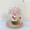 cay-kim-tien-thach-anh-cao-15cm