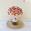 cay-kim-tien-thach-anh-cao-15cm