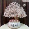Cây Kim Tiền Thạch Anh Cao 50(cm)