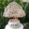 cay-kim-tien-thach-anh-cao-50cm
