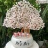 cay-kim-tien-thach-anh-cao-50cm