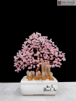 Cây Kim Tiền Thạch Anh Hồng Cao 38(cm)