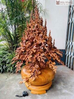Cây Mai Gỗ Ngọc Am Cao 120(cm)