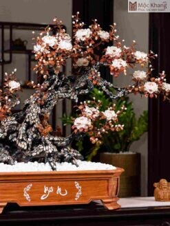 Chậu Cây Khảm Bào Ngư Cao 82(cm)
