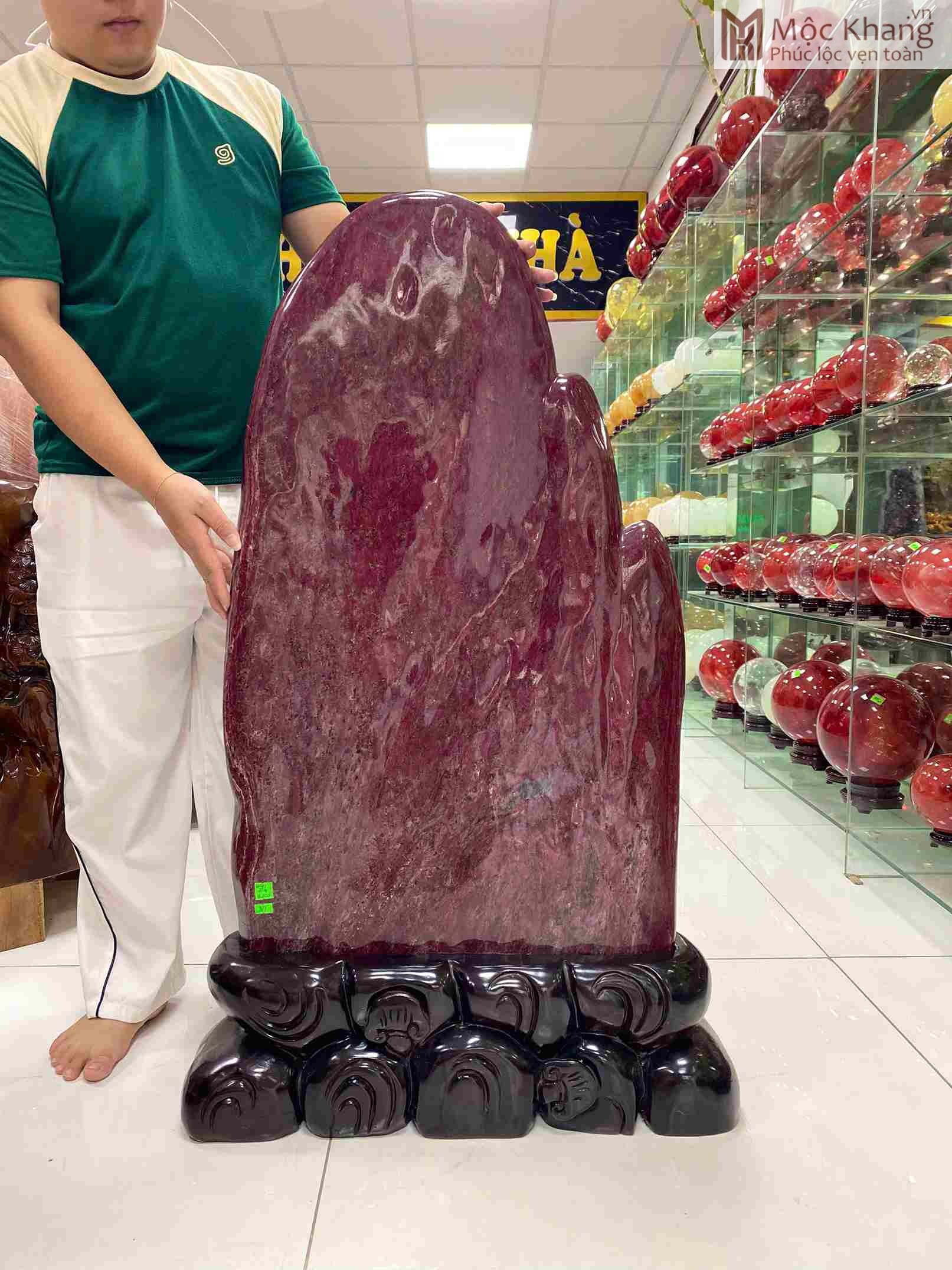 da-canh-canxedon-huyet-long-cao-93cm (2) da-canh-canxedon-huyet-long-cao-93cm