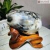 Đu Đủ Gỗ Hóa Ngọc Cao 19(cm)