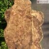khay-tra-go-nu-huyet-long-ngang-60cm