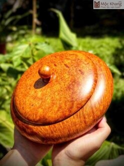 Thố Nu Hương Đường Kính 20(cm)