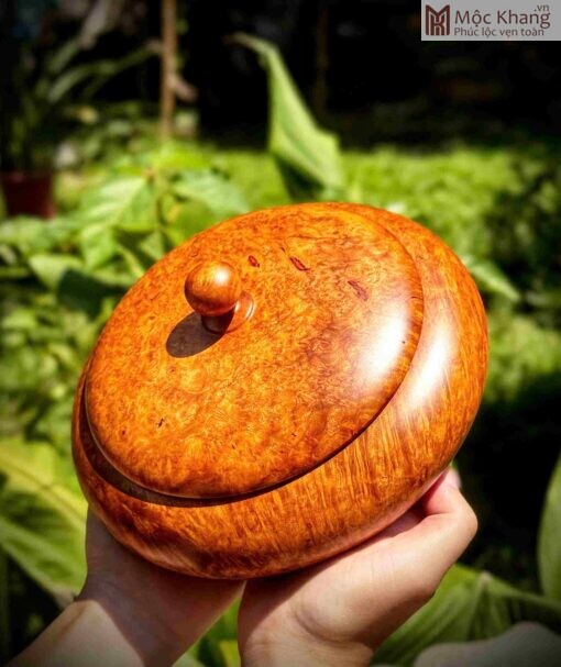 Thố Nu Hương Đường Kính 20(cm)